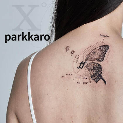 Parkkaro